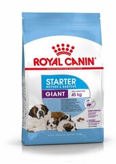Корм для собак Royal Canin Giant Starter Mother & Babydog Universal, 15 кг цена и информация | Сухой корм для собак | pigu.lt