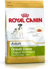 Royal Canin dogų veislės šunims Great Dane, 12 kg kaina ir informacija | Sausas maistas šunims | pigu.lt