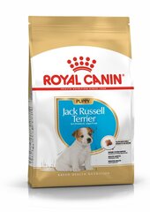 Royal Canin Džeko Raselo terjerų veislės šunims Junior, 1,5 kg kaina ir informacija | Sausas maistas šunims | pigu.lt