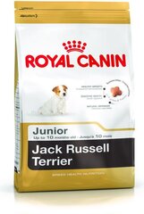 Royal Canin Džeko Raselo terjerų veislės šunims Junior, 1,5 kg kaina ir informacija | Sausas maistas šunims | pigu.lt