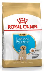 Royal Canin mažiems Labradoro retriveriams, 12 kg kaina ir informacija | Sausas maistas šunims | pigu.lt