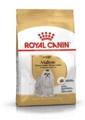 Royal Canin взрослый мальтийский бизон Maltese Adult, 1,5kg цена и информация |  Сухой корм для собак | pigu.lt