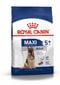 Royal Canin didelių veislių vyresniems šunims Maxi Adult 5+, 15 kg kaina ir informacija | Sausas maistas šunims | pigu.lt