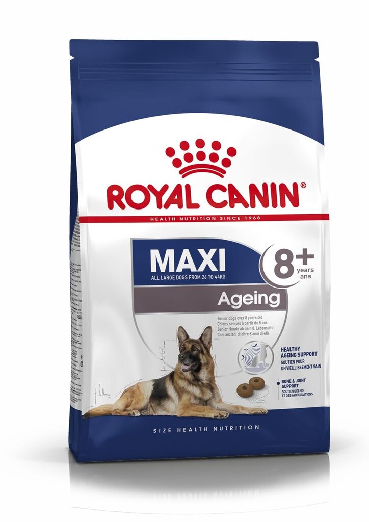 Royal Canin didelių veislių vyresnio amžiaus šunims Maxi Ageing, 15 kg kaina ir informacija | Sausas maistas šunims | pigu.lt