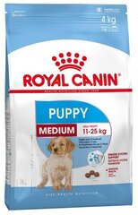 Royal Canin Medium Junior 15 kg kaina ir informacija | Sausas maistas šunims | pigu.lt
