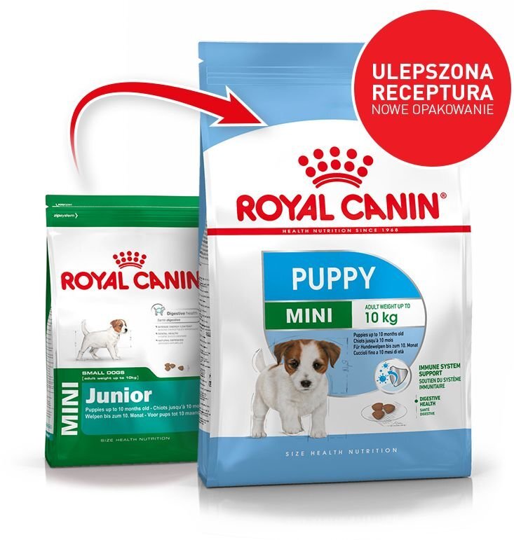 Royal Canin mažų veislių šuniukams Mini junior, 4 kg kaina ir informacija | Sausas maistas šunims | pigu.lt