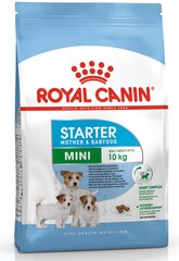 Royal Canin Mini, 8,5 kg kaina ir informacija | Sausas maistas šunims | pigu.lt