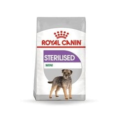 Royal Canin для стерилизованных собак Mini sterilised, 8 кг цена и информация |  Сухой корм для собак | pigu.lt