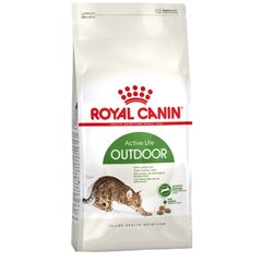 Royal Canin lauke būnančioms katėms Outdoor, 0,4 kg kaina ir informacija | Sausas maistas katėms | pigu.lt