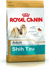 Royal Canin Ši Cu veislės šunims Adult, 0,5 kg kaina ir informacija | Sausas maistas šunims | pigu.lt