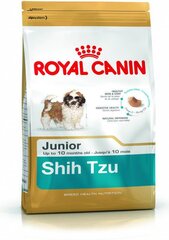 Royal Canin Ši Cu veislės šunims Junior, 0,5 kg kaina ir informacija | Sausas maistas šunims | pigu.lt