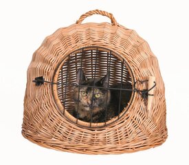 Trixie плетеная корзина для кошек, 50 см цена и информация | Лежаки, домики | pigu.lt