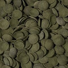 Корм для аквариумных рыб TROPICAL Green Algae Wafers 250 мл/113 г цена и информация | Корм для рыб | pigu.lt