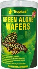 Корм для аквариумных рыб TROPICAL Green Algae Wafers 250 мл/113 г цена и информация | Корм для рыб | pigu.lt