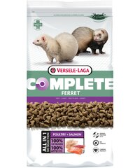 Корм для хорьков Versele-Laga Ferret complete, 10 кг цена и информация | Корм для грызунов | pigu.lt