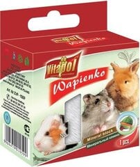  Vitapol минеральный камень для грызунов и кроликов с овощами 40г цена и информация | Корм для грызунов | pigu.lt