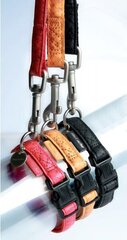 Pavadėlis šunims Zolux Mac Leather, 15 mm/1.2 m, raudonas kaina ir informacija | Pavadėliai šunims | pigu.lt