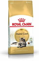 Royal Canin для породы кошек Мейн Кун, 4 кг цена и информация | Сухой корм для кошек | pigu.lt