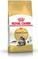 Royal Canin Meino meškėnų veislės katėms, 4 kg цена и информация | Sausas maistas katėms | pigu.lt