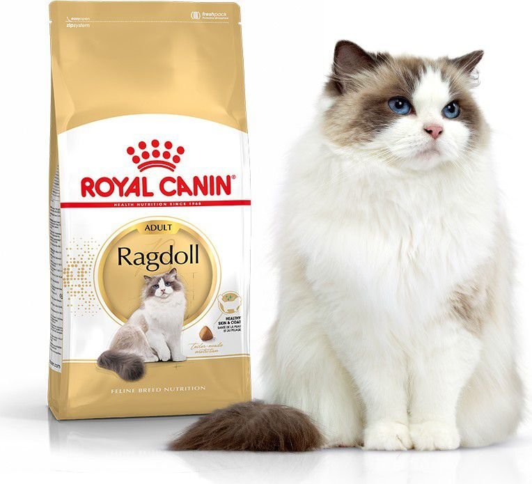 Royal Canin корм для породы кошек Рэгдолл (тряпичная кукла)Adult, 2 кг цена  | pigu.lt