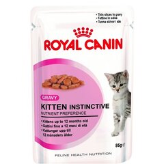 Влажный корм Royal Canin Kitten Jelly для котят до 12 месяцев 85г цена и информация | Консервы для кошек | pigu.lt