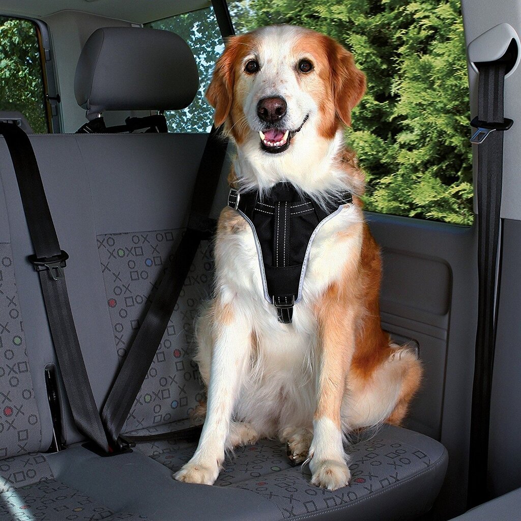Trixie automobilinės saugos petnešos šunims, XL kaina ir informacija | Transportavimo narvai, krepšiai | pigu.lt