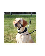 Trixie Top Trainer намордник, S 22 см цена и информация | Средства для дрессировки собак | pigu.lt