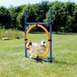 Trixie barjeras su žiedu Agility kaina ir informacija | Dresūros priemonės šunims | pigu.lt