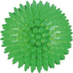 Игольчатый мячик Trixie, 12 см цена и информация | Игрушки для собак | pigu.lt