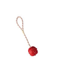 Trixie plūduriuojantis kamuoliukas su virve kaina ir informacija | Žaislai šunims | pigu.lt