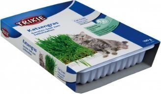 Trixie кошачья трава в контейнере, 100 г цена и информация | Витамины, добавки и средства от паразитов для кошек | pigu.lt