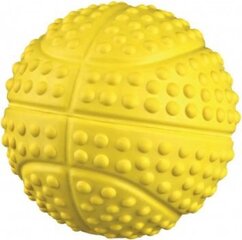 Trixie kamuoliukas su garsu kaina ir informacija | Žaislai šunims | pigu.lt