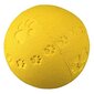 Trixie guminis kamuoliukas, 6 cm   цена и информация | Žaislai šunims | pigu.lt