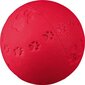 Guminis kamuoliukas šunims Trixie, 7,5cm kaina ir informacija | Žaislai šunims | pigu.lt