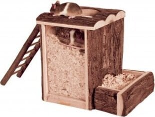 Домик для грызунов Trixie, 20×20×16 см цена и информация | Клетки и аксессуары для грызунов | pigu.lt