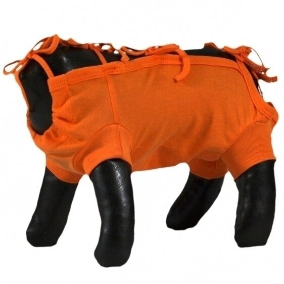 Grande Finale pooperaciniai marškinėliai (oranžinė) XXS 22cm kaina ir informacija | Drabužiai šunims | pigu.lt