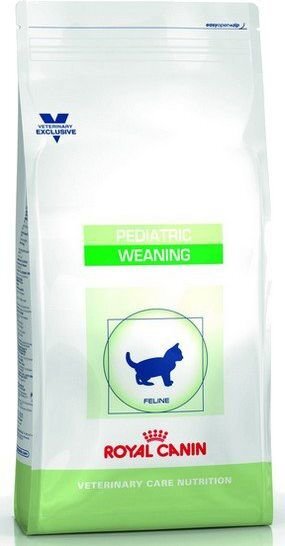 Royal Canin jauniems kačiukams Cat pediatric weaning, 0,4 kg kaina ir informacija | Sausas maistas katėms | pigu.lt