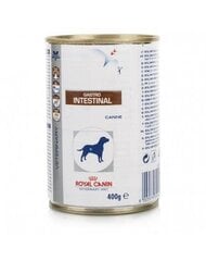 Royal Canin Dog Gastro Intestinal, 400 g kaina ir informacija | Konservai šunims | pigu.lt