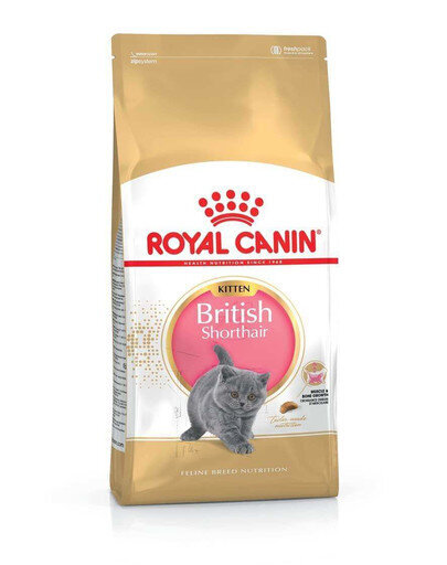 Royal Canin britų trumpaplaukiams kačiukams, 10 kg цена и информация | Sausas maistas katėms | pigu.lt