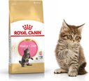 Royal Canin для породы котят Мейн Кун, 0,4 кг