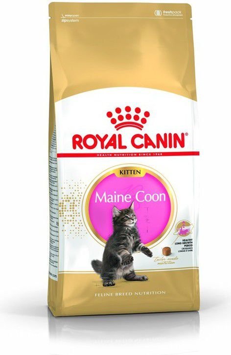 Royal Canin Meino meškėnų veislės kačiukams, 0.4 kg kaina ir informacija | Sausas maistas katėms | pigu.lt