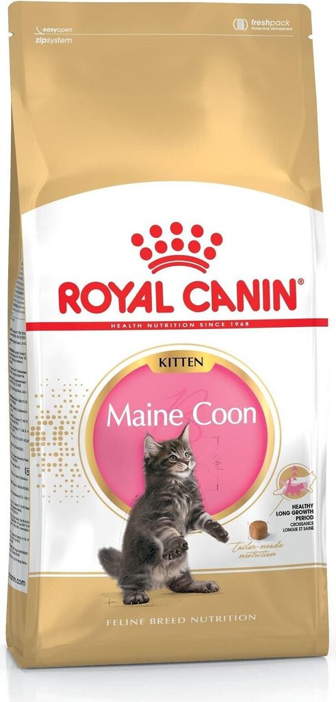 Royal Canin Meino Meškėno kačiukams, 10 kg цена и информация | Sausas maistas katėms | pigu.lt