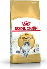 Royal Canin корм для породы Норвежская лесная кошка Norvegien, 10 кг цена и информация | Сухой корм для кошек | pigu.lt