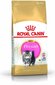 Royal Canin persų veislės kačiukams, 2 kg цена и информация | Sausas maistas katėms | pigu.lt