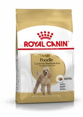 Royal Canin корм для собак породы пудель Adult, 1,5 кг цена и информация | Сухой корм для собак | pigu.lt