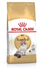Royal Canin для кошек породы Ragdoll, 10 кг цена и информация | Сухой корм для кошек | pigu.lt