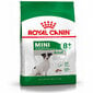 Royal Canin mažų veislių senjorams Mini Adult +8, 2 kg kaina ir informacija | Sausas maistas šunims | pigu.lt