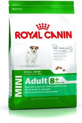 Royal Canin для пожилых собак мелких пород Mini Adult +8, 2 кг цена и информация | Сухой корм для собак | pigu.lt
