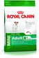 Royal Canin mažų veislių senjorams Mini Adult +8, 2 kg kaina ir informacija | Sausas maistas šunims | pigu.lt