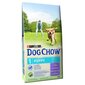 Purina Dog Chow su ėriena, 14 kg kaina ir informacija | Sausas maistas šunims | pigu.lt